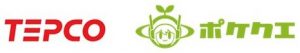 TEPCO-POCKET QUERIES
