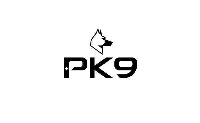 Positive K9 Training Launches VIP Dog Training for Personalised Canine Excellence