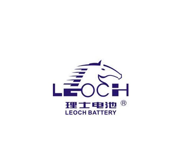 Leoch International and Consortium for Battery Innovation Co-organized 2024 CBI Global Battery Innovation Summit